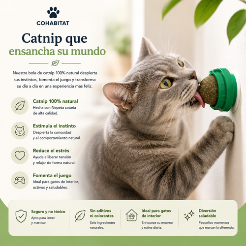 CatJoy™ — Bola Interactiva de Catnip para Gatos
