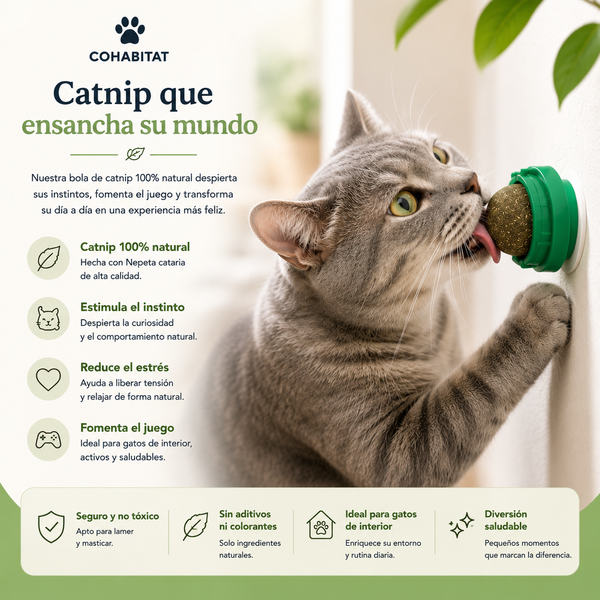 CatJoy™ — Bola Interactiva de Catnip para Gatos