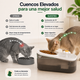 HydroDuo™ — Comedero Elevado con Fuente Automática 3L