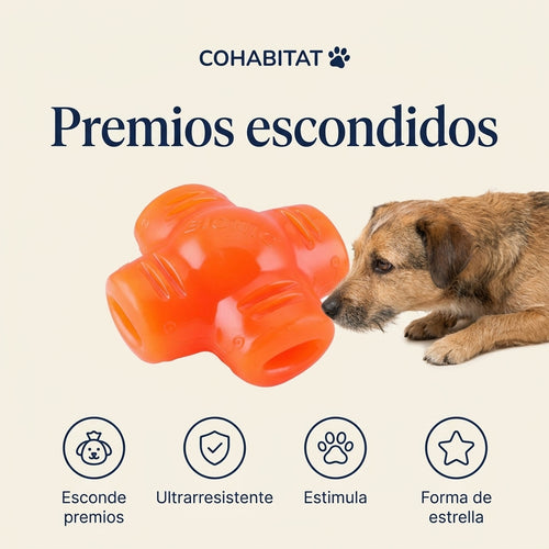 BIONIC Treat Star · Juguete ultrarresistente con premio