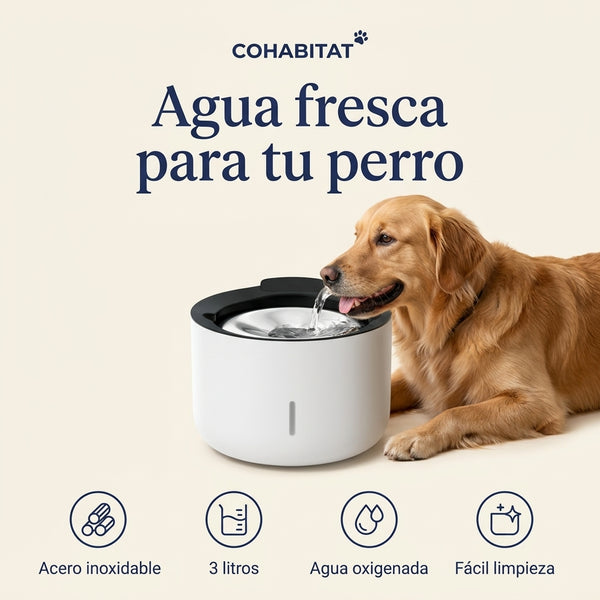 Zeus Oasis · Fuente de acero inoxidable para perros