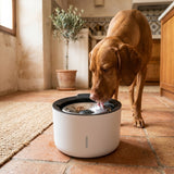 Zeus Oasis · Fuente de acero inoxidable para perros
