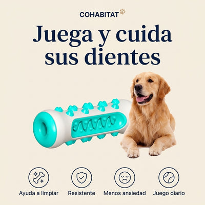 DentaBone · Hueso mordedor dental para perros