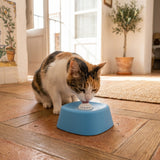CalmDrink · Bebedero antisalpicaduras para perros y gatos