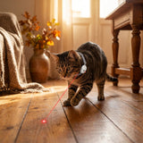 LaserPlay · Collar láser de juego para gatos