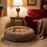 Cama Premium para perro · Marrón