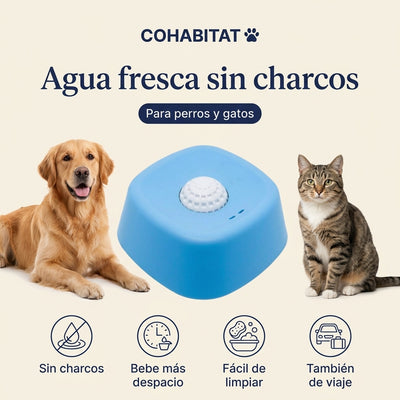 CalmDrink · Bebedero antisalpicaduras para perros y gatos