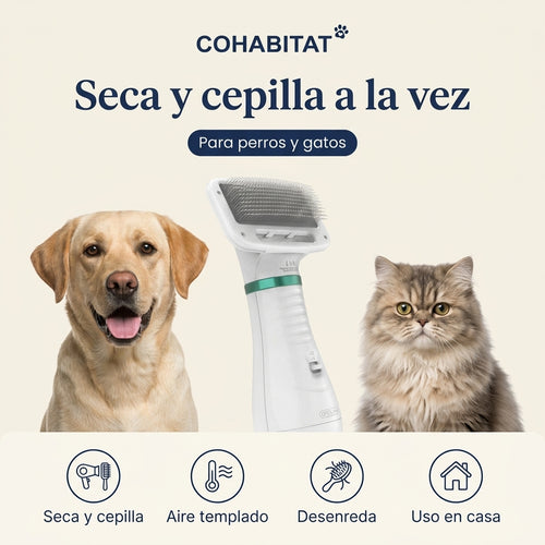AirGroom · Secador cepillo 2 en 1 para mascotas