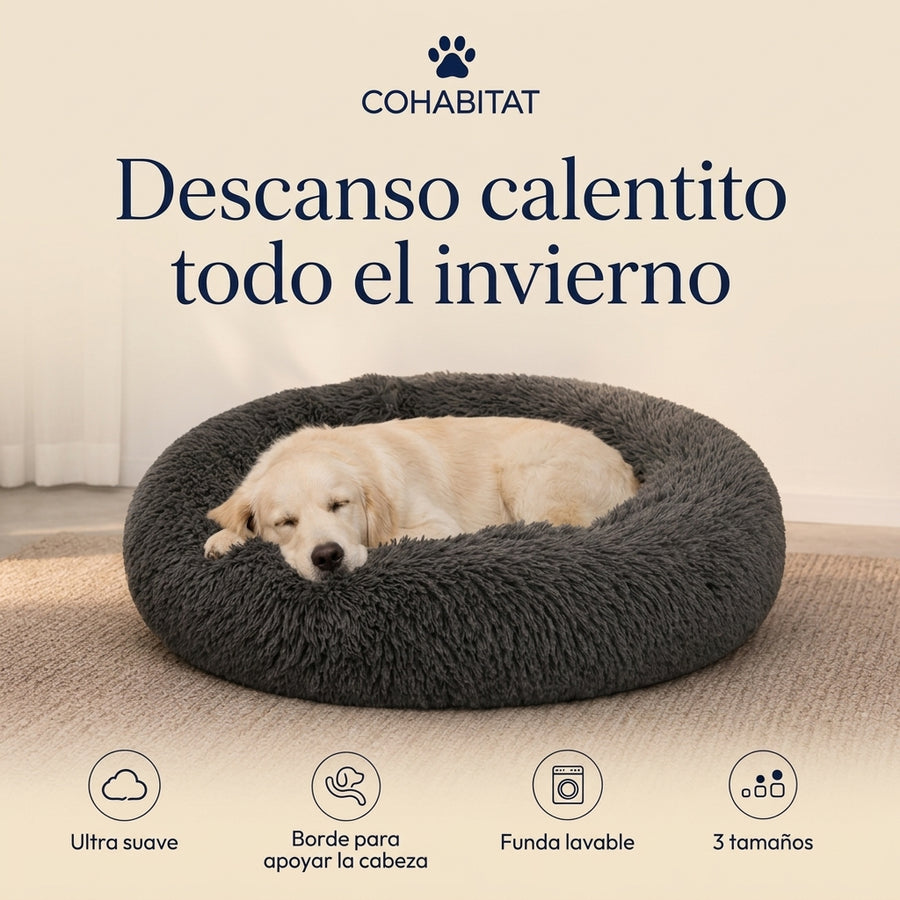 Cama Premium para perro · Gris antracita